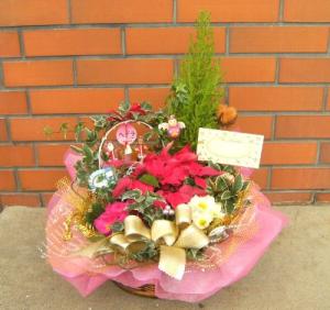 クリスマスの寄せ鉢（愛知県・犬山市）｜「花の香花園」　（愛知県犬山市の花キューピット加盟店 花屋）のブログ