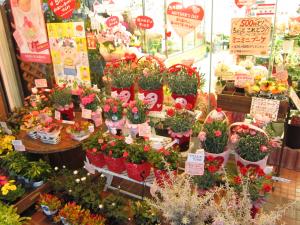 てんこもりになってまいりました。。　（犬山市）｜「花の香花園」　（愛知県犬山市の花キューピット加盟店 花屋）のブログ