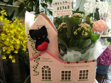 といあえず、敬老のお祝い商品も作ってみました♪（犬山市）｜「花の香花園」　（愛知県犬山市の花キューピット加盟店 花屋）のブログ