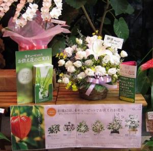 もうすぐお盆ですね。　（犬山市）｜「花の香花園」　（愛知県犬山市の花キューピット加盟店 花屋）のブログ