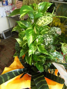 ご予約のお花のお届けです（犬山市）｜「花の香花園」　（愛知県犬山市の花キューピット加盟店 花屋）のブログ