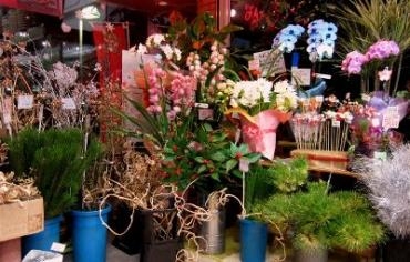 お正月の準備、真っ最中だよ。｜「花の香花園」　（愛知県犬山市の花キューピット加盟店 花屋）のブログ