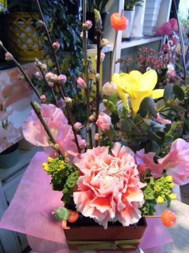 ３月３日は、桃の節句・ひな祭りですね♪｜「花の香花園」　（愛知県犬山市の花キューピット加盟店 花屋）のブログ