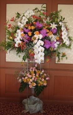 デラ　でっかいスタンドフラワーだよ。｜「花の香花園」　（愛知県犬山市の花キューピット加盟店 花屋）のブログ