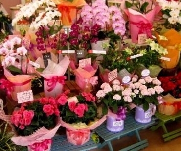  「母の日」ですね。今年はどうします？　（犬山市）｜「花の香花園」　（愛知県犬山市の花キューピット加盟店 花屋）のブログ