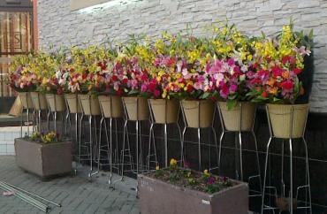 お届けした、お花のご紹介｜「花の香花園」　（愛知県犬山市の花キューピット加盟店 花屋）のブログ