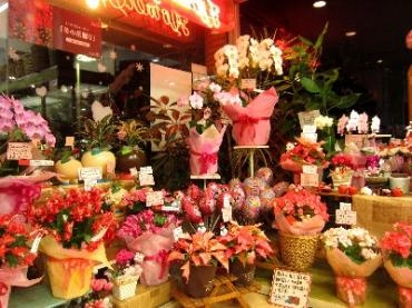店内が少しずつ クリスマスムードへ。。。　o(^-^)o｜「花の香花園」　（愛知県犬山市の花キューピット加盟店 花屋）のブログ