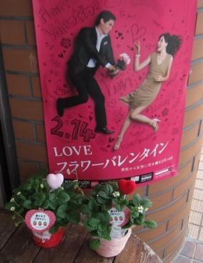 もうすぐ、バレンタインデー。　　(*^_^*)｜「花の香花園」　（愛知県犬山市の花キューピット加盟店 花屋）のブログ