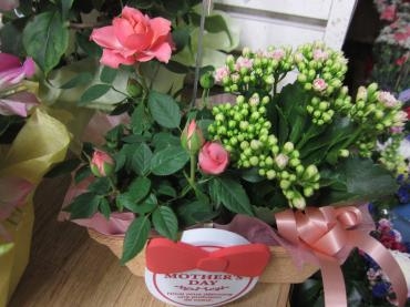 2015年5月10日は母の日♪まだ間に合う！！母の日の贈り物♪｜「花の香花園」　（愛知県犬山市の花キューピット加盟店 花屋）のブログ