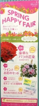 今年も「春のキャンペーン」、始まりました。　(*^_^*)｜「花の香花園」　（愛知県犬山市の花キューピット加盟店 花屋）のブログ