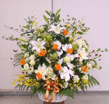 城下町に雑貨屋さん 「デザインモリス」 さんがオープンしました！｜「花の香花園」　（愛知県犬山市の花キューピット加盟店 花屋）のブログ