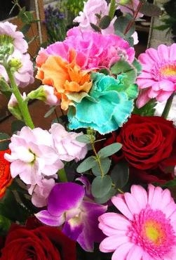 レインボーカーネーションのお花が入った贈り物♪｜「花の香花園」　（愛知県犬山市の花キューピット加盟店 花屋）のブログ
