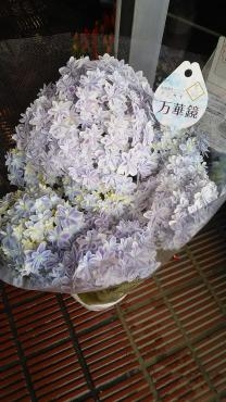 母の日ですね(≧∇≦)｜「花の香花園」　（愛知県犬山市の花キューピット加盟店 花屋）のブログ