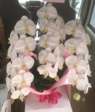 お誕生日のお祝いのお届け物です。｜「花の香花園」　（愛知県犬山市の花キューピット加盟店 花屋）のブログ