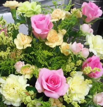 ９月１７日（月）は敬老の日ですね♪｜「花の香花園」　（愛知県犬山市の花キューピット加盟店 花屋）のブログ