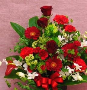 クリスマスですね～。｜「花の香花園」　（愛知県犬山市の花キューピット加盟店 花屋）のブログ