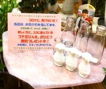 コロナに負けないぞ！　(*｀へ´*)｜「花の香花園」　（愛知県犬山市の花キューピット加盟店 花屋）のブログ
