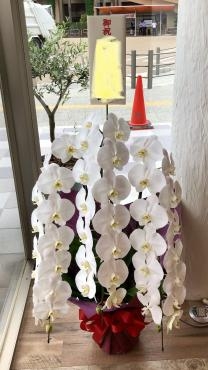 ホテルミュースタイルさんのお隣に CAFE オムレット さんがオープンしますね♪｜「花の香花園」　（愛知県犬山市の花キューピット加盟店 花屋）のブログ