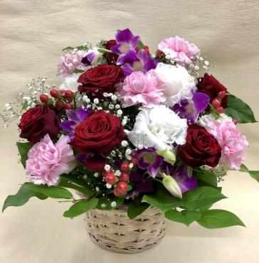 御祝　アレンジメントです。｜「花の香花園」　（愛知県犬山市の花キューピット加盟店 花屋）のブログ