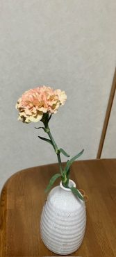 母の日にカーネーションをいただいてしまいました(#^^#)｜「花の香花園」　（愛知県犬山市の花キューピット加盟店 花屋）のブログ