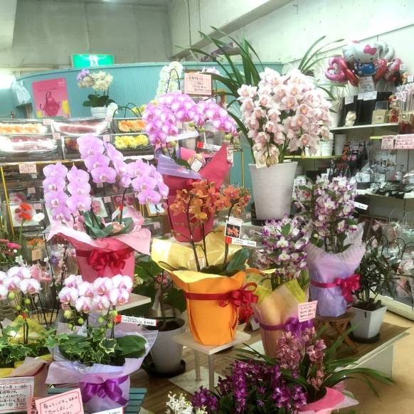 「花の香花園」　（愛知県犬山市）の花屋店舗写真2